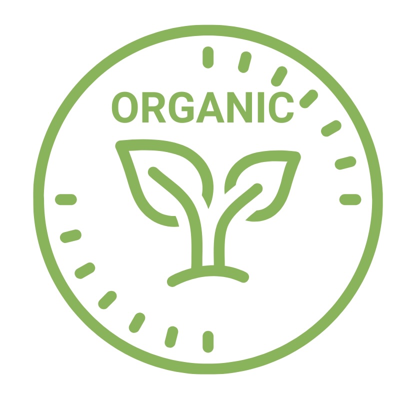 ORGANIC Organic Bread online